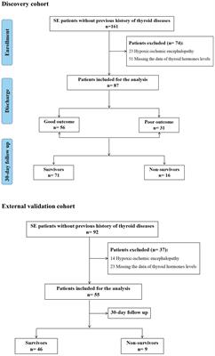 Thyroid hormones and prognosis in adults with status epilepticus: a retrospective study